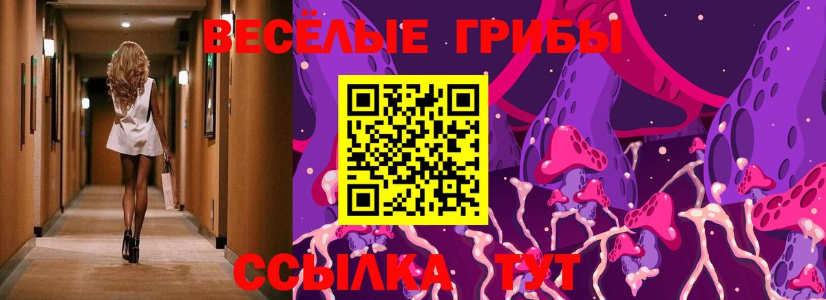 Галлюциногенные грибы мухоморы Кулебаки