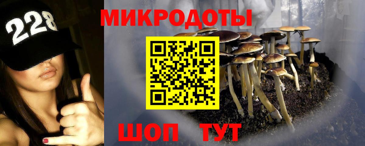 Кулебаки  Галлюциногенные грибы Psilocybine cubensis  Вход с VPN 